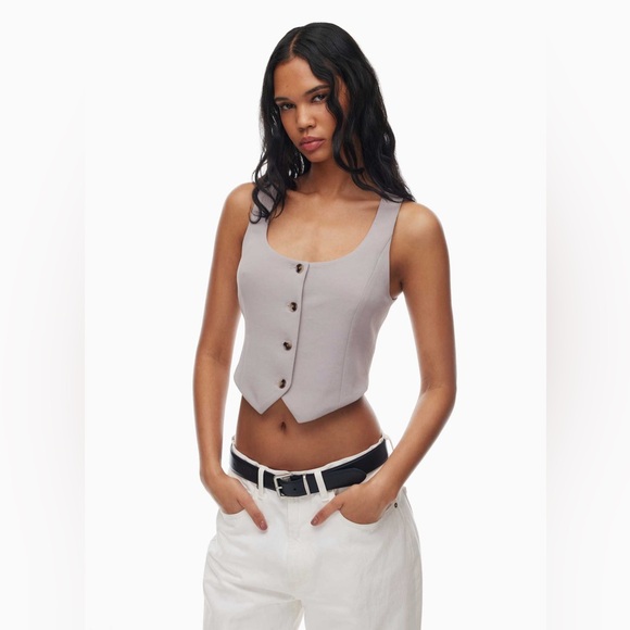 Aritzia Tops - Aritzia Wilfred Rocco Vest